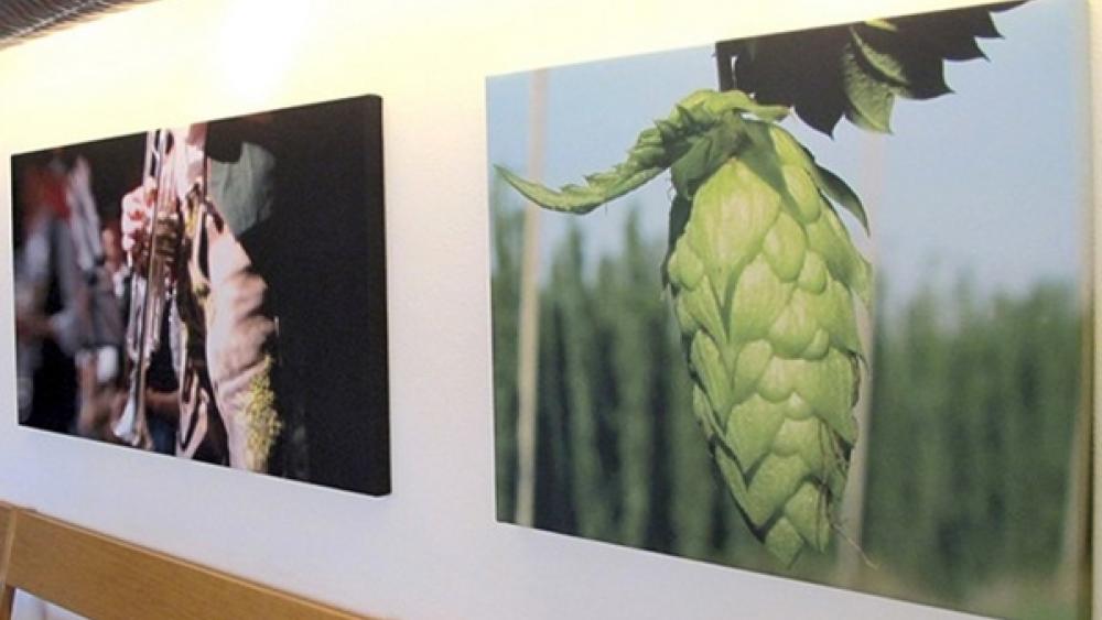 Akustikbild 2